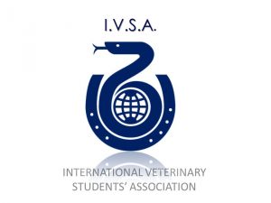 IVSA logo